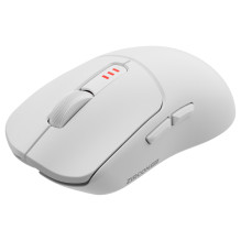 GENESIS Zircon 500 mouse