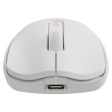 GENESIS Zircon 500 mouse