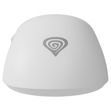 GENESIS Zircon 500 mouse