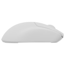 GENESIS Zircon 500 mouse