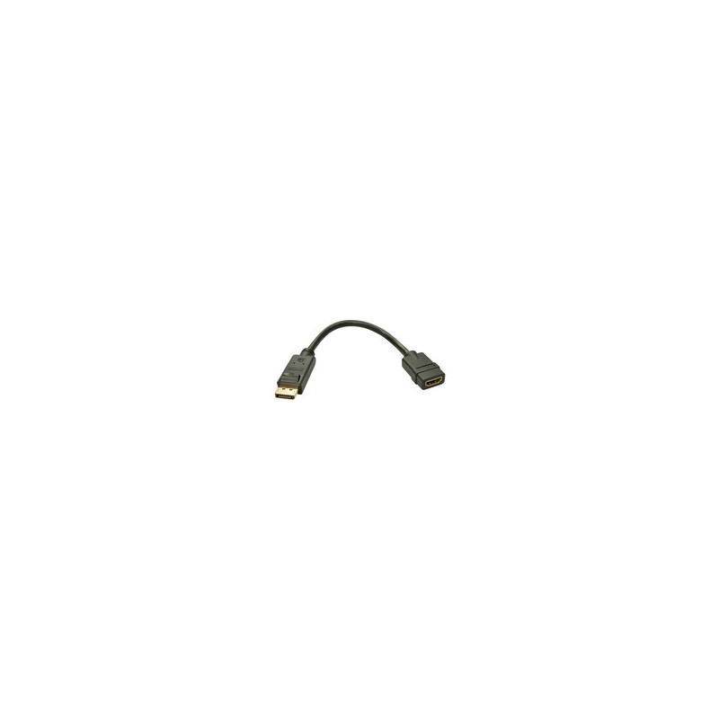 Lindy DisplayPort 1.2 to HDMI 1.3 Converter 4002888410052