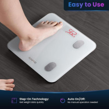 renpho RENPHO Elis 1S Smart Body Scale White