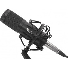 Genesis Radium 300