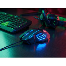 Esperanza EGM201B mouse USB Type-A Optical 2400 DPI Right-hand Esperanza EGM201B mouse USB Type-A Optical 2400 DPI Right-hand