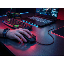Esperanza EGM201R pelė USB A tipo optinė 2400 DPI dešiniarankiams