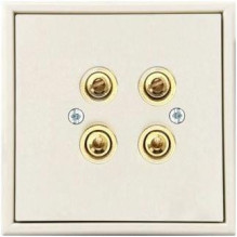 Speaker connection socket...