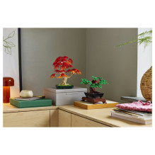 LEGO Botanicals bonsai medelis LEGO Botanicals bonsai medelis
