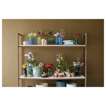 LEGO Botanicals sukulentai