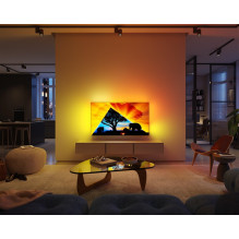 TELEVIZORIUS 55OLED769 / 12 PHILIPS TELEVIZORIUS 55OLED769 / 12 PHILIPS