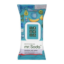 ANTIBACTERIAL WET WIPES 80PCS