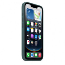 Apple iPhone 16e Silicone Case - Lake Green MD3X4ZM / A