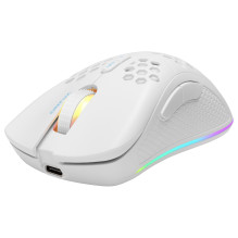 Deltaco Gaming GAM-120-W mouse