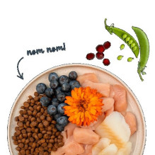 BOSCH Sanabelle Adult Trout & Blueberries - dry cat food - 2kg BOSCH Sanabelle Adult Trout & Blueberries - dry cat food - 2kg