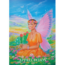 Manifesting With The Fairies Oracle Cards Hay House