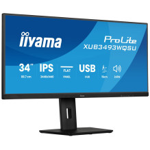 iiyama ProLite...