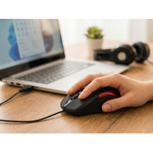 Esperanza EM102R pelė USB A tipo optinė 800 DPI Esperanza EM102R pelė USB A tipo optinė 800 DPI