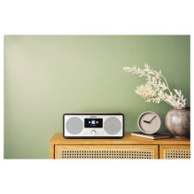 Panasonic RF-D40EG-K radio