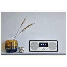 Panasonic RF-D40EG-K radio