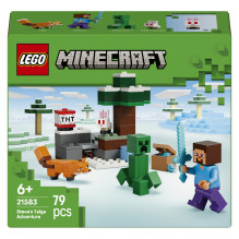 LEGO Minecraft 21583...