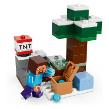 LEGO Minecraft 21583 building toy LEGO Minecraft 21583 building toy