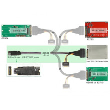 Delock ADAPTERIS M.2 KEY M U.2 SFF-8639 NVME su 50 cm kabeliu Delock ADAPTERIS M.2 KEY M U.2 SFF-8639 NVME su 50 cm kabeliu