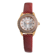 WATCH FOLLI FOLLIE WOMAN...