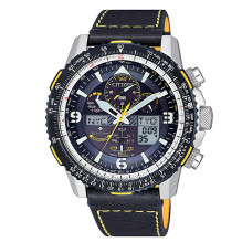 WATCH CITIZEN MAN...