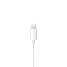 APPLE EARPODS WITH LIGHTNING CONNECTOR MWTY3ZM / A APPLE EARPODS WITH LIGHTNING CONNECTOR MWTY3ZM / A