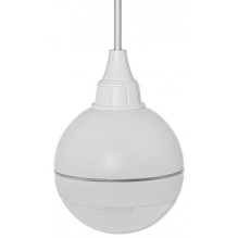 Ceiling spherical speaker...
