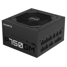 Gigabyte maitinimo blokas P750GM 750W