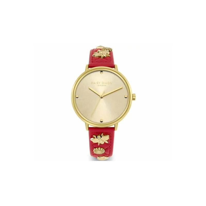 Laikrodis DAISY DIXON moterims DD133PG (38MM)