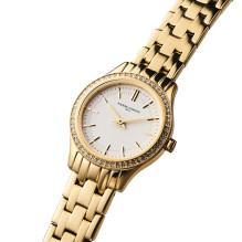 WATCH PIERRE CARDIN WOMEN CF.0607.SE.G (30MM) WATCH PIERRE CARDIN WOMEN CF.0607.SE.G (30MM)