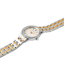 WATCH PIERRE CARDIN WOMEN CF.0607.SU.G (30MM) WATCH PIERRE CARDIN WOMEN CF.0607.SU.G (30MM)