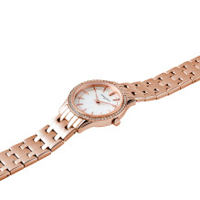 WATCH PIERRE CARDIN WOMEN CF.0611.SC.RG (30MM) WATCH PIERRE CARDIN WOMEN CF.0611.SC.RG (30MM)