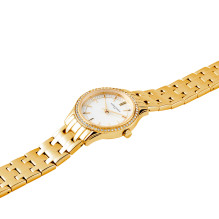 WATCH PIERRE CARDIN WOMEN CF.0611.SE.G (30MM) WATCH PIERRE CARDIN WOMEN CF.0611.SE.G (30MM)