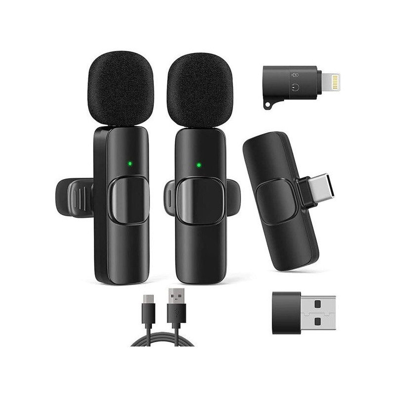 RealPower HS-1 Wireless microphone 2 microphones 1 receiver