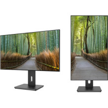 JAPANNEXT 68,6cm JN-27IPS4FLWQHDR-HSP 16:9 HDMI / DP WQHD monitors JAPANNEXT 68,6cm JN-27IPS4FLWQHDR-HSP 16:9 HDMI / DP WQHD monitors