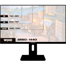 JAPANNEXT 68,6cm JN-27IPS4FLWQHDR-HSP 16:9 HDMI / DP WQHD monitors JAPANNEXT 68,6cm JN-27IPS4FLWQHDR-HSP 16:9 HDMI / DP WQHD monitors