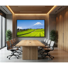 JAPANNEXT 139,7cm JN-IPS550UHD60F 16:9 3x HDMI UHD monitors JAPANNEXT 139,7cm JN-IPS550UHD60F 16:9 3x HDMI UHD monitors