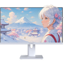 JAPANNEXT 60,5cm...