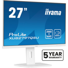 Iiyama Monitor...