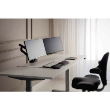 BakkerElkhuizen flexible dual monitor arm Black retail BakkerElkhuizen flexible dual monitor arm Black retail