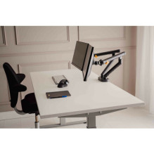BakkerElkhuizen desk mount for 2 monitors 17" - 35" (BNEBFDDG) BakkerElkhuizen desk mount for 2 monitors 17" - 35" (BNEBFDDG)