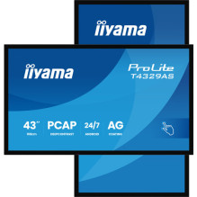 Dators iiyama 43IN...