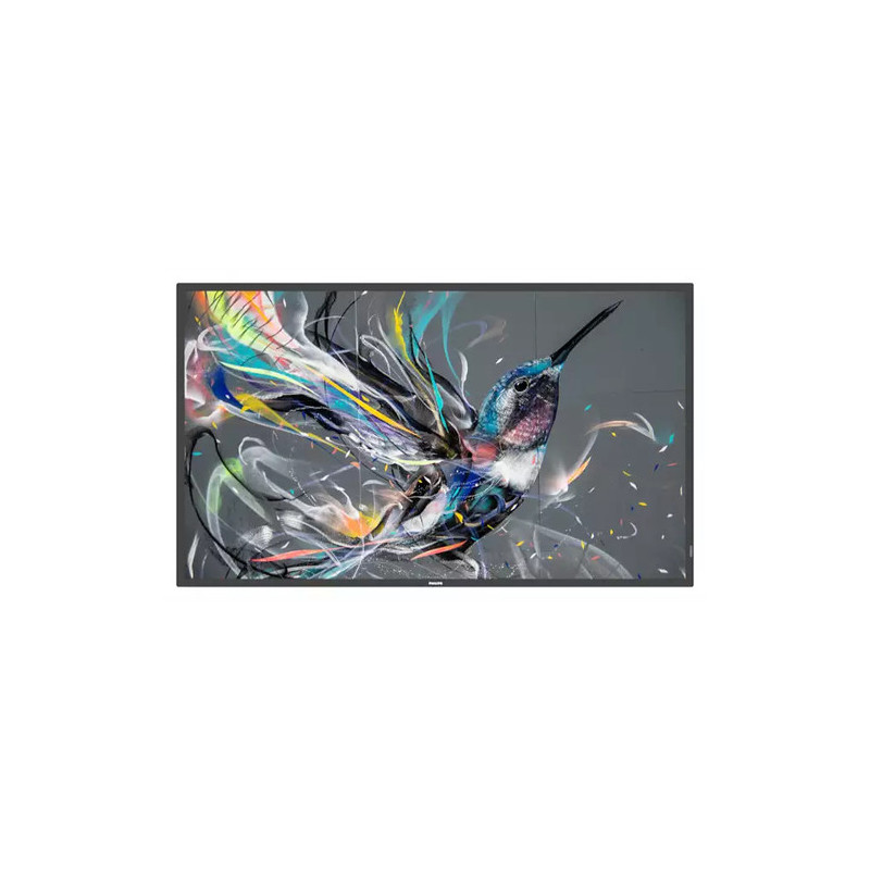 Monitorius Philips Q-Line 75BDL3511Q / 00