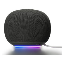 Google Home skaļruodis