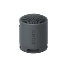 Sony SRS-XB100 Juoda