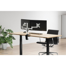 Neomounts Desk mount for 2 monitors 10" - 27" (FPMA-D1330DSILVER)