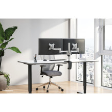 Neomounts Desk mount for 2 monitors 10" - 27" (FPMA-D1330DSILVER)