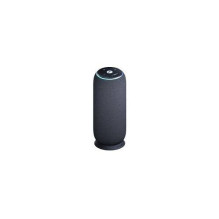 Motorola Sound Flow, carbon